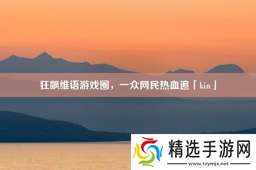 狂飙维语游戏圈一众网民热血追「kin」