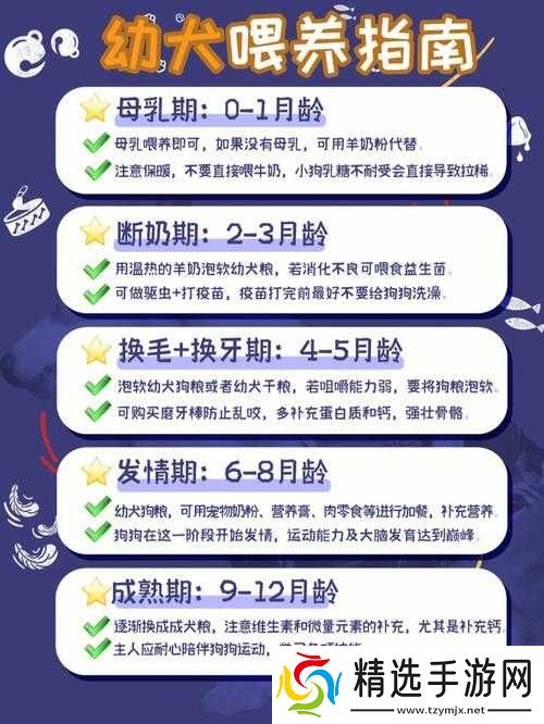 人狗胶配方大全狗狗一天吃多少：科学喂养指南