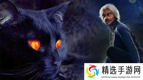 神秘猫又：奇幻传说中的强大存在