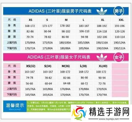 三叶草 M 码与欧洲码区别解析