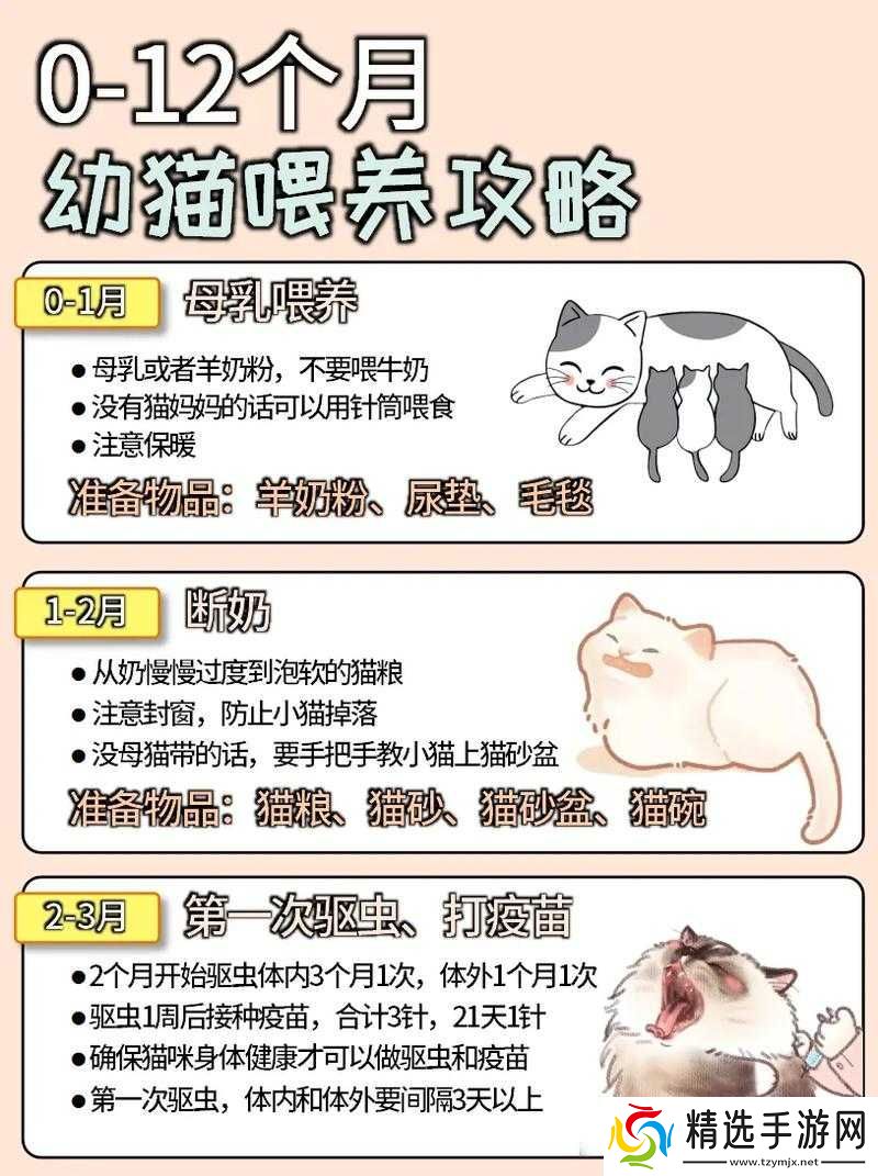 家猫日常攻略