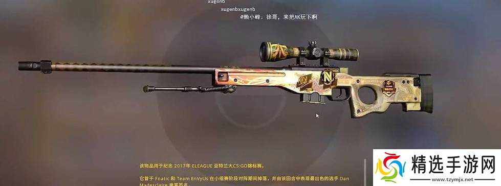 日本csgo大姐姐awp多少钱竟然这么贵