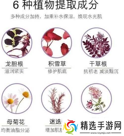 精华液一区二区区别