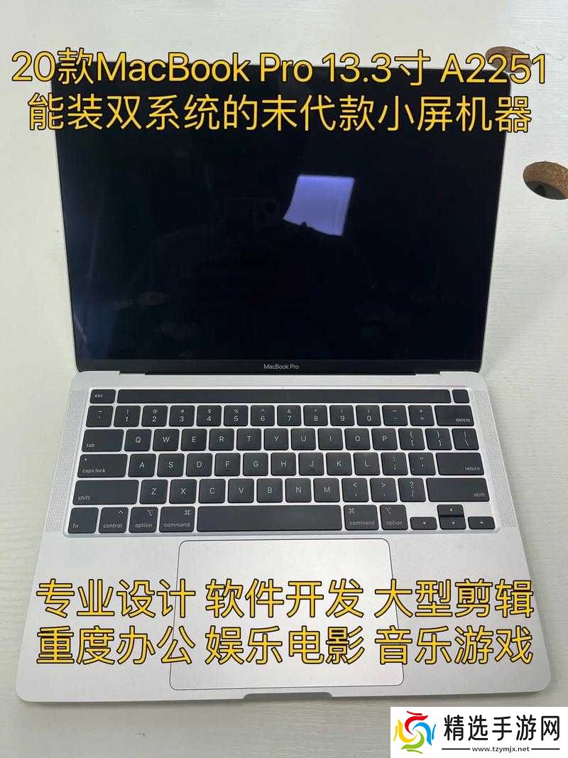 1019 岁日本的神奇 Macbook