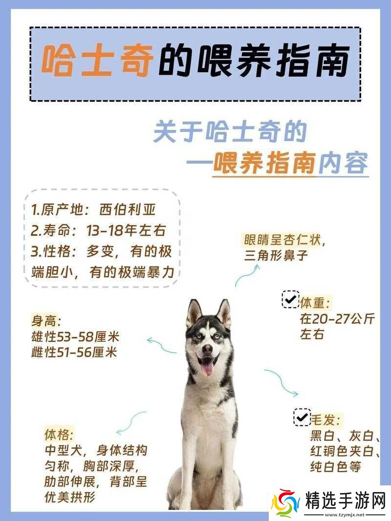 人狗胶配方大全狗狗使用