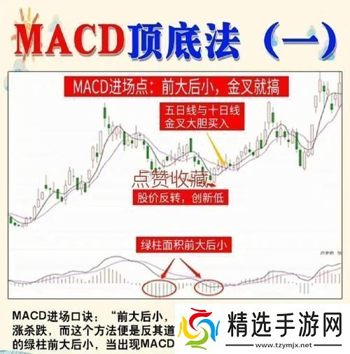 “MACD周期共震狂想曲