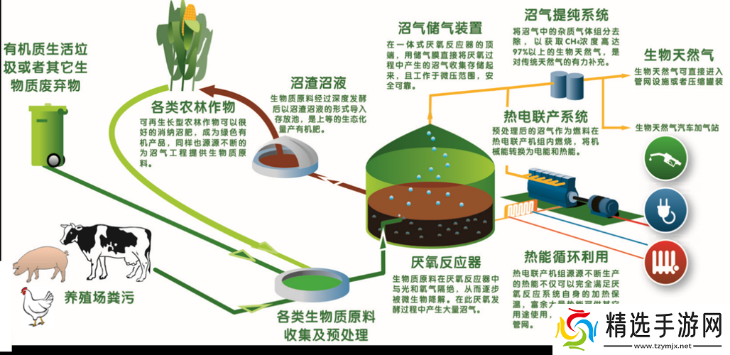 人马畜禽