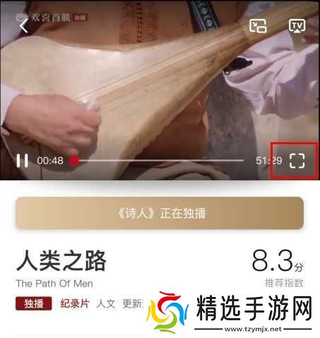 欢喜首映电脑版官网