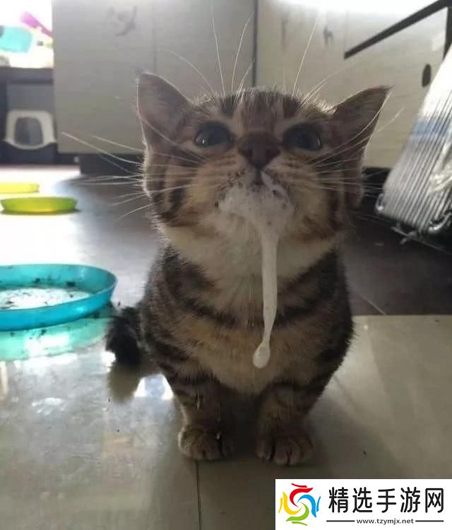 猫咪「吧唧嘴」奇遇记：白沫的背后友热议的科技奥秘