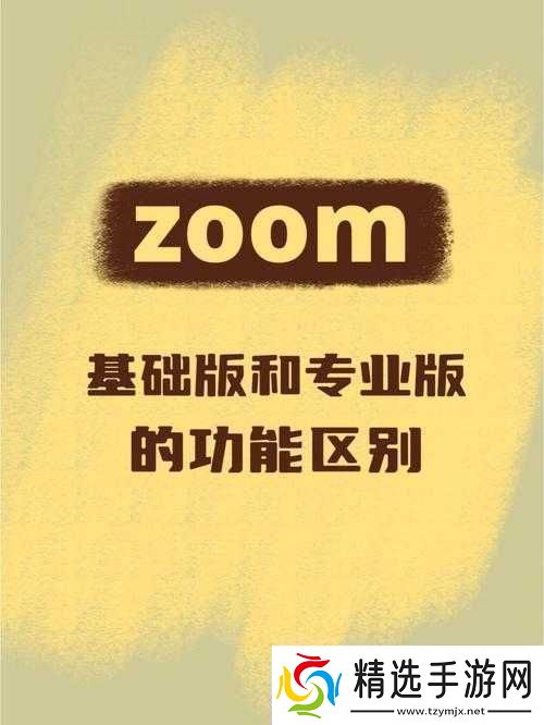 Zoom