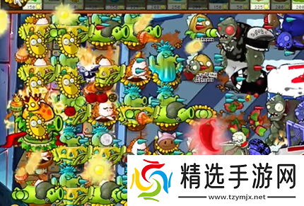 pvz杂交版英雄模式全息大脑的秘密过关攻略