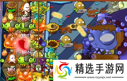 pvz杂交版英雄模式终极计划通关详解