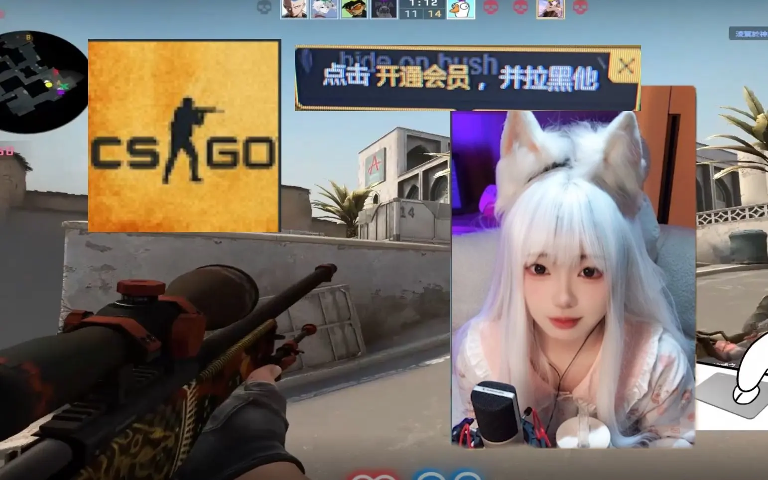 暴躁老阿姨csgo