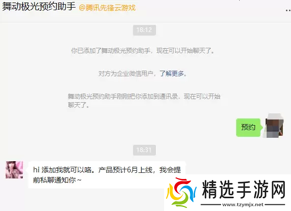 舞动极光预约教程