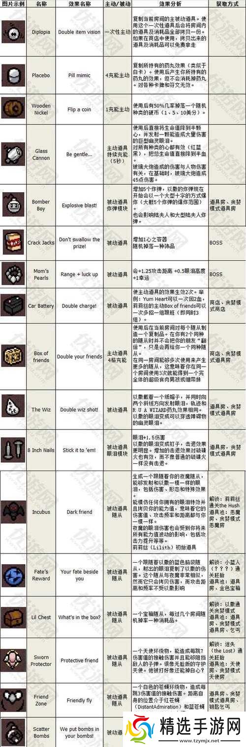 以撒的结合胎衣被动道具保护圈功能详解