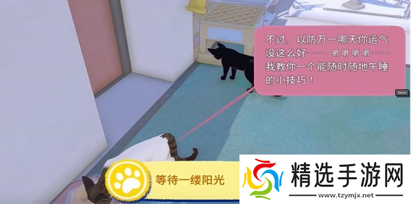 小猫咪大城市等待一缕阳光任务攻略