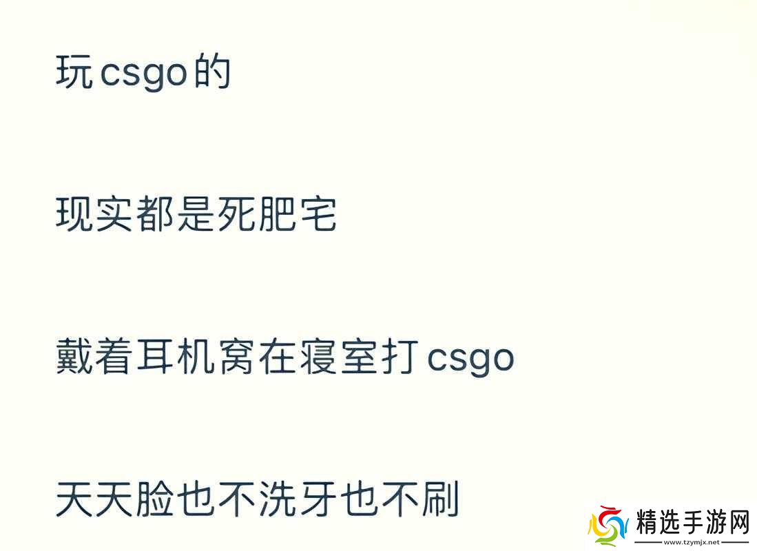 暴躁老阿姨CSGO