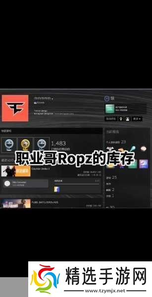 暴躁老阿姨csgo娃娃脸