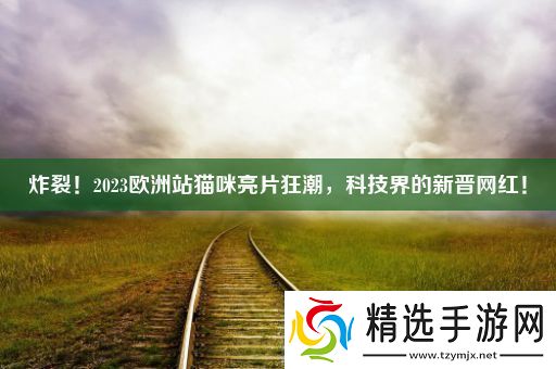 炸裂！2023欧洲站猫咪亮片狂潮科技界的新晋红！