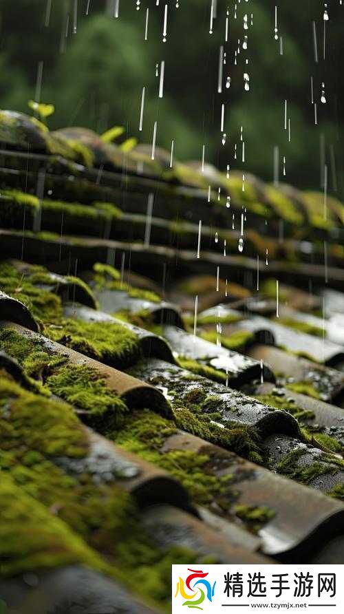 填得很满感觉春雨回答