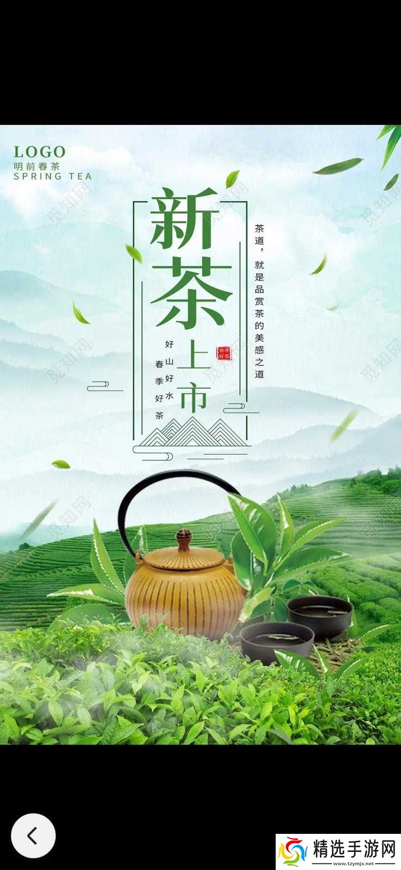 成都新茶嫩茶wx600