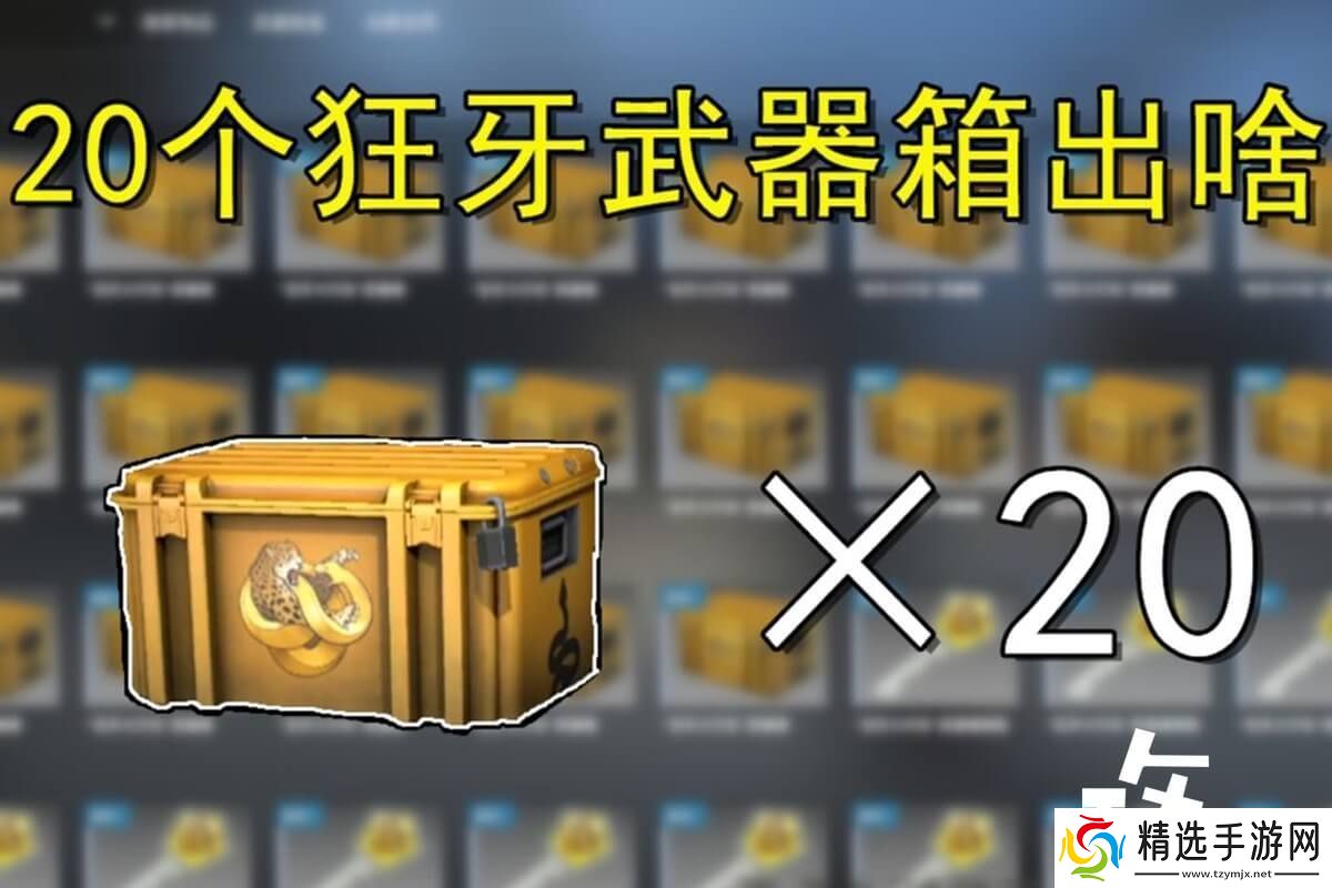 csgo官最良心开箱推荐