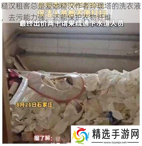 糙汉租客总是爱她糙汉作者玲珑塔的洗衣液