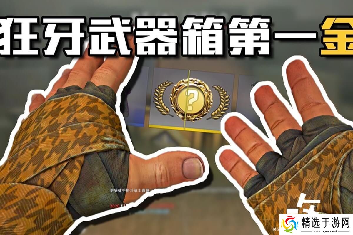 csgo官最良心开箱推荐